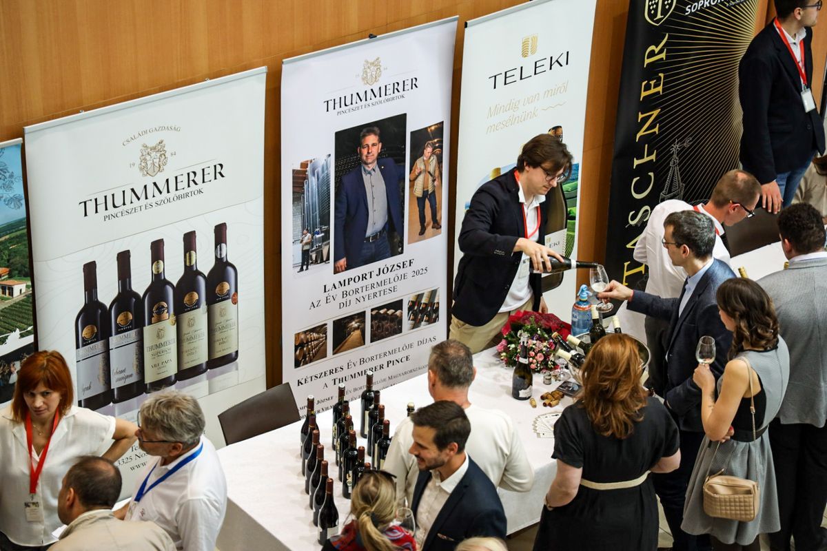 A Szolnoki Szakképzési Centrum adott otthont a X. Szolnoki Bor- és Pezsgőmustrának